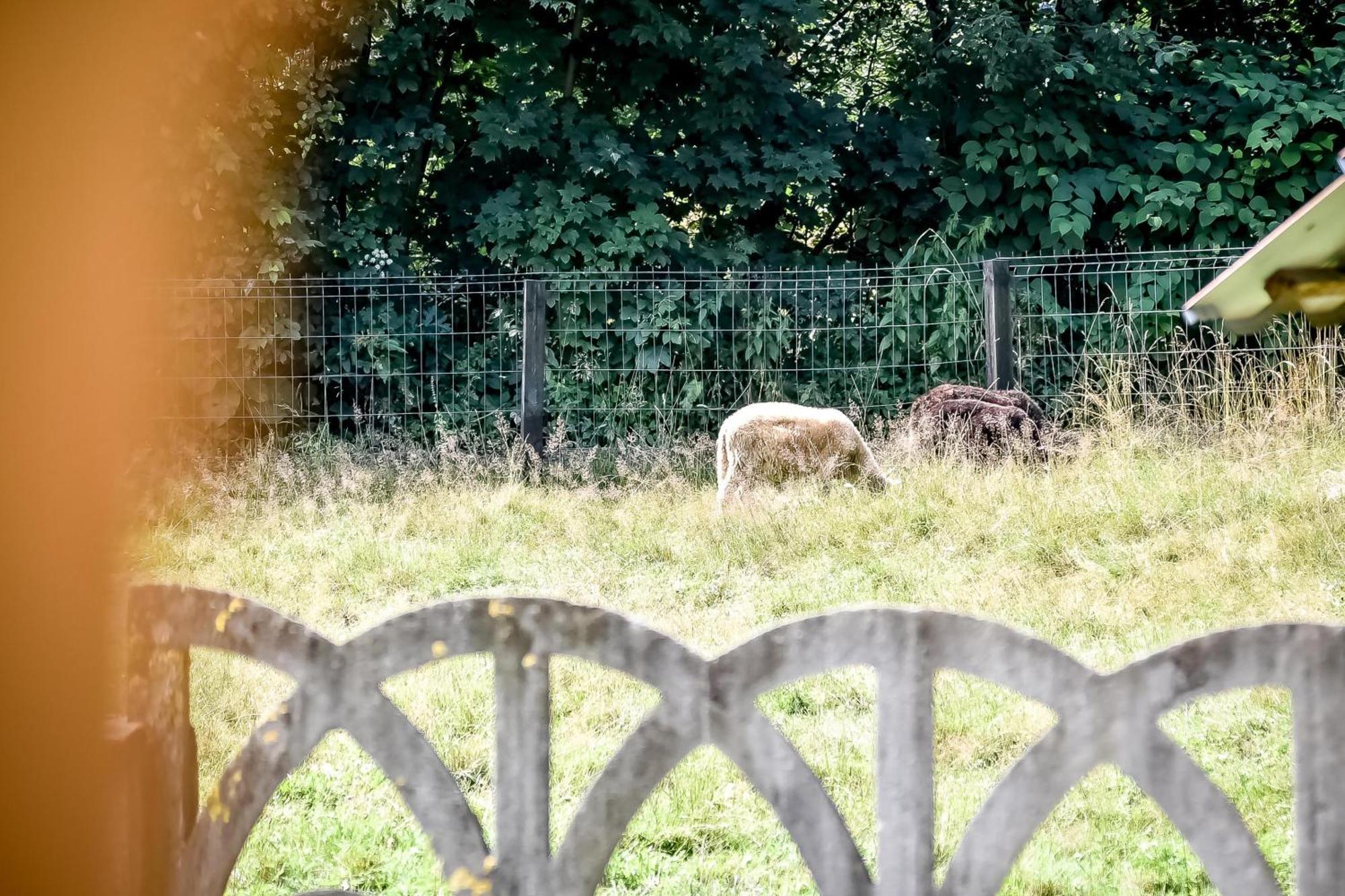 Domek Pod Brzyzkiem Bialka Tatrzanska Exteriör bild